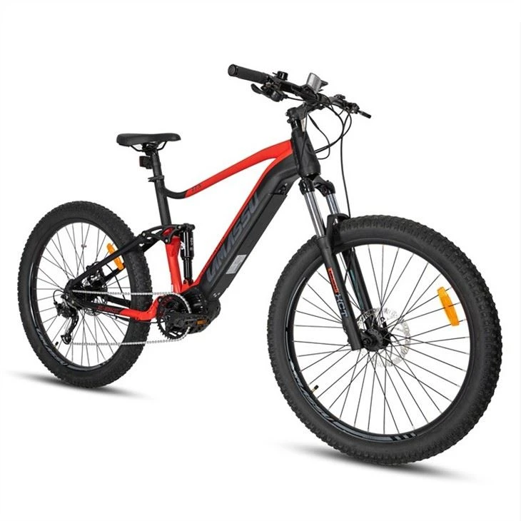 Electric Mountain Bike price