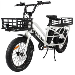 Kingkong elektrische bakfiets