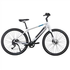 Zilver lichtgewicht geïntegreerde city ebike