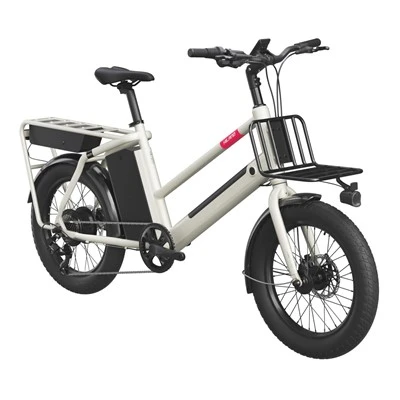 20" lichtmetalen e-bakfiets