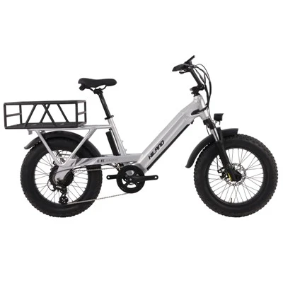 Joykie 24 inch 48V 500W 15Ah Electric City Lichtgewicht vracht elektrische fiets met 20 inch dikke band